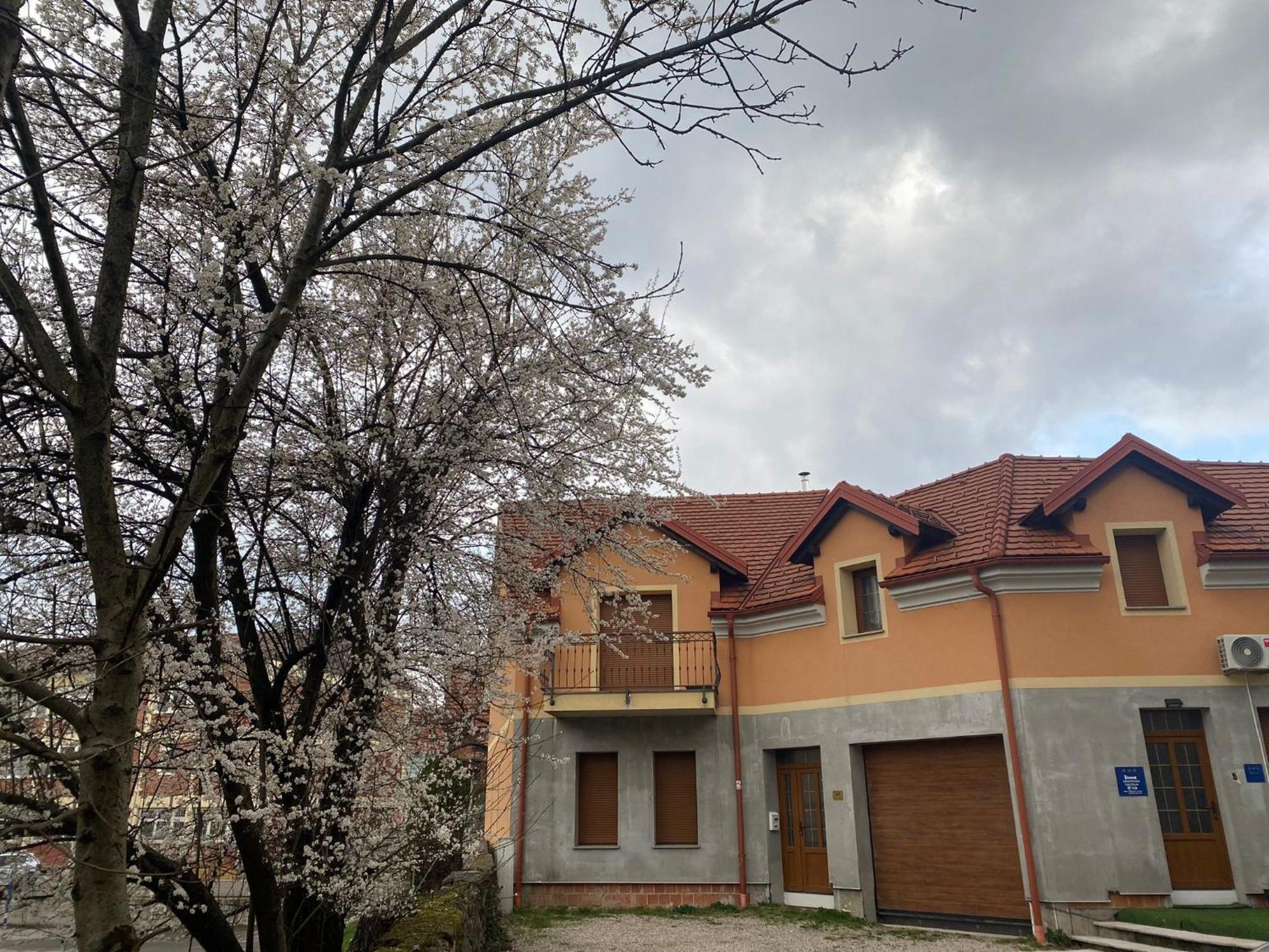 Apartman Galerija Ogulin Exterior photo
